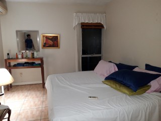 Trafagar Rosd, Kingston / St. Andrew, Jamaica - Apartment for Lease/rental